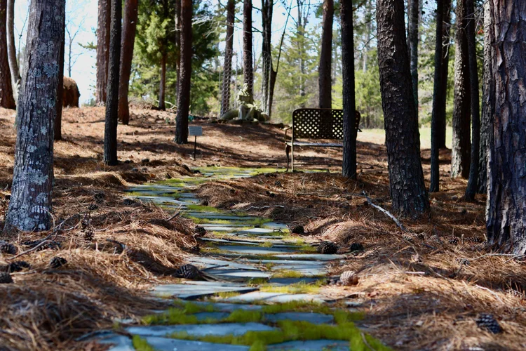 Francis Garden at St. Francis Springs Prayer Center in Stoneville, North Carolina
