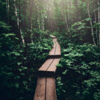 The Evangelical Recovery Journey