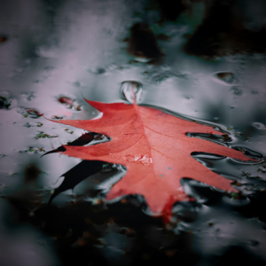 Facing Mortality and Living Fully